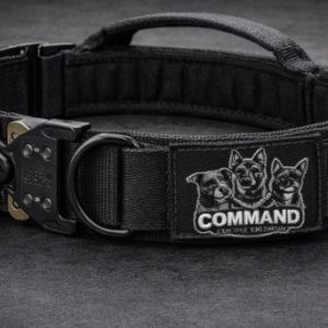 Training Collar
